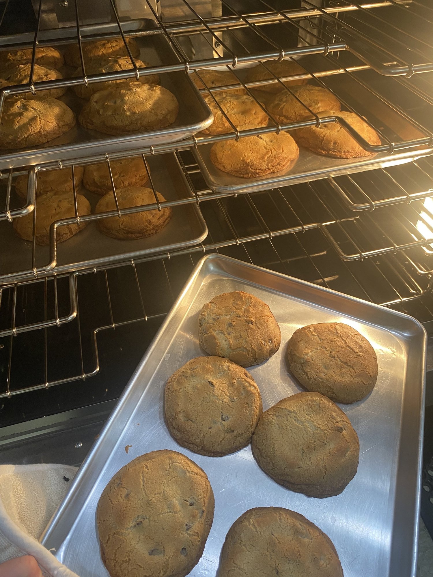 The bakery case